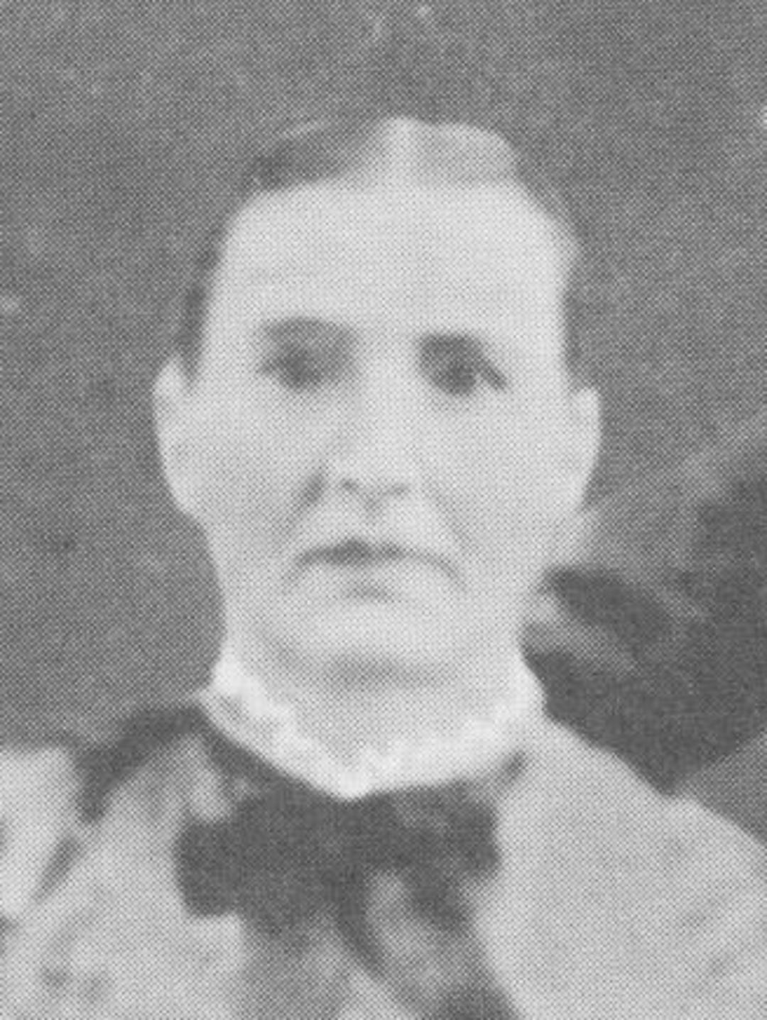 Martha Henson (1841 - 1902) Profile